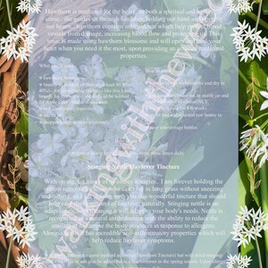 Spring Foraging Checklist, Medicinal Foraging Guide, Spring Equinox, Medicinal Recipes, Homemade Remedies, Interactive Checklist image 4