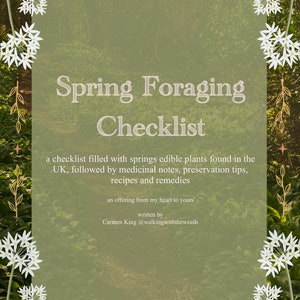 Spring Foraging Checklist, Medicinal Foraging Guide, Spring Equinox, Medicinal Recipes, Homemade Remedies, Interactive Checklist image 1