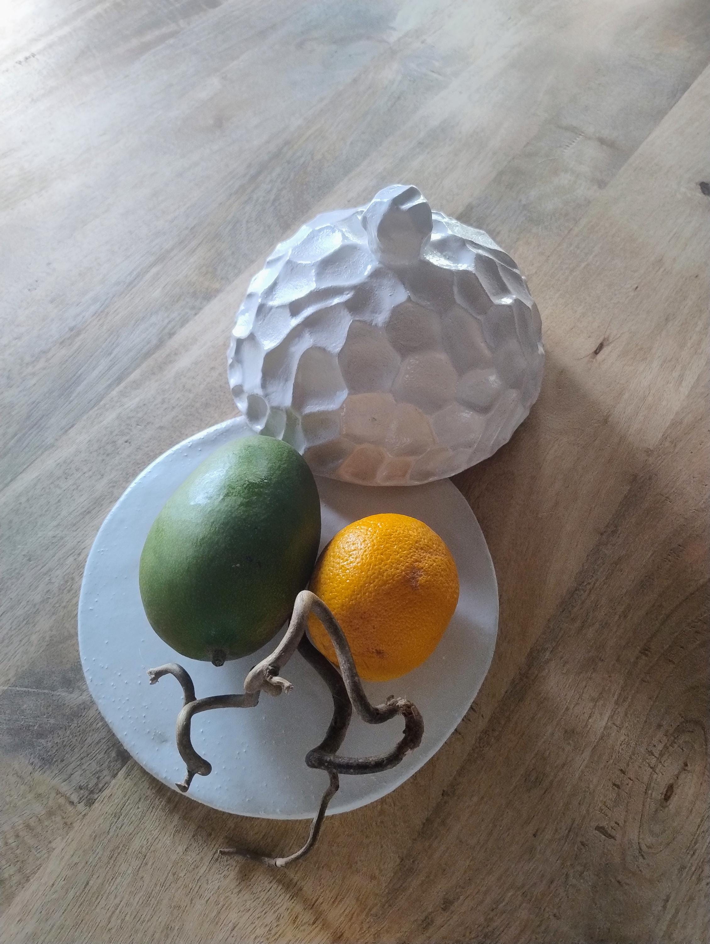 PLAT PLATEAU A Fromage Ancien Ceramique Faience Gien France Modele