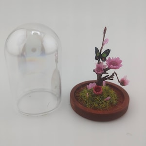 Pick Color! Mini Dollhouse Botanical and Butterfly Specimens in Glass Cloche Bell Jar