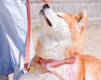 Bandana Flora