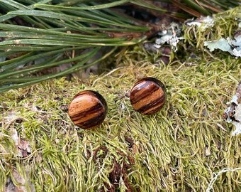 Paire de  boucles d'oreille, puces, boutons en bois précieux de zebrano, travail fait main dans mon atelier, monture métal hypoallergénique.