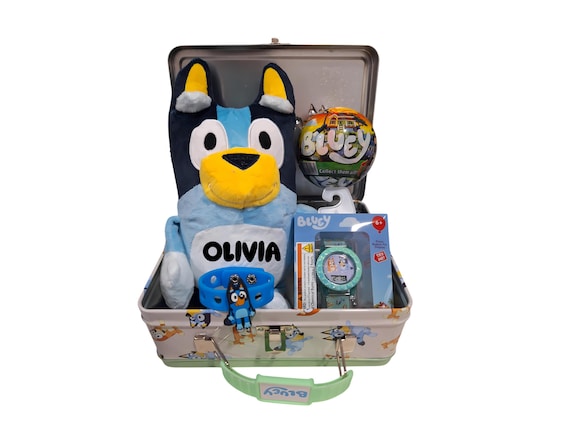 Custom Bluey Bingo Gift Basket, Personalized Plushie