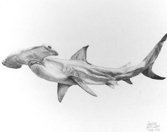 Hammerhead Shark Print