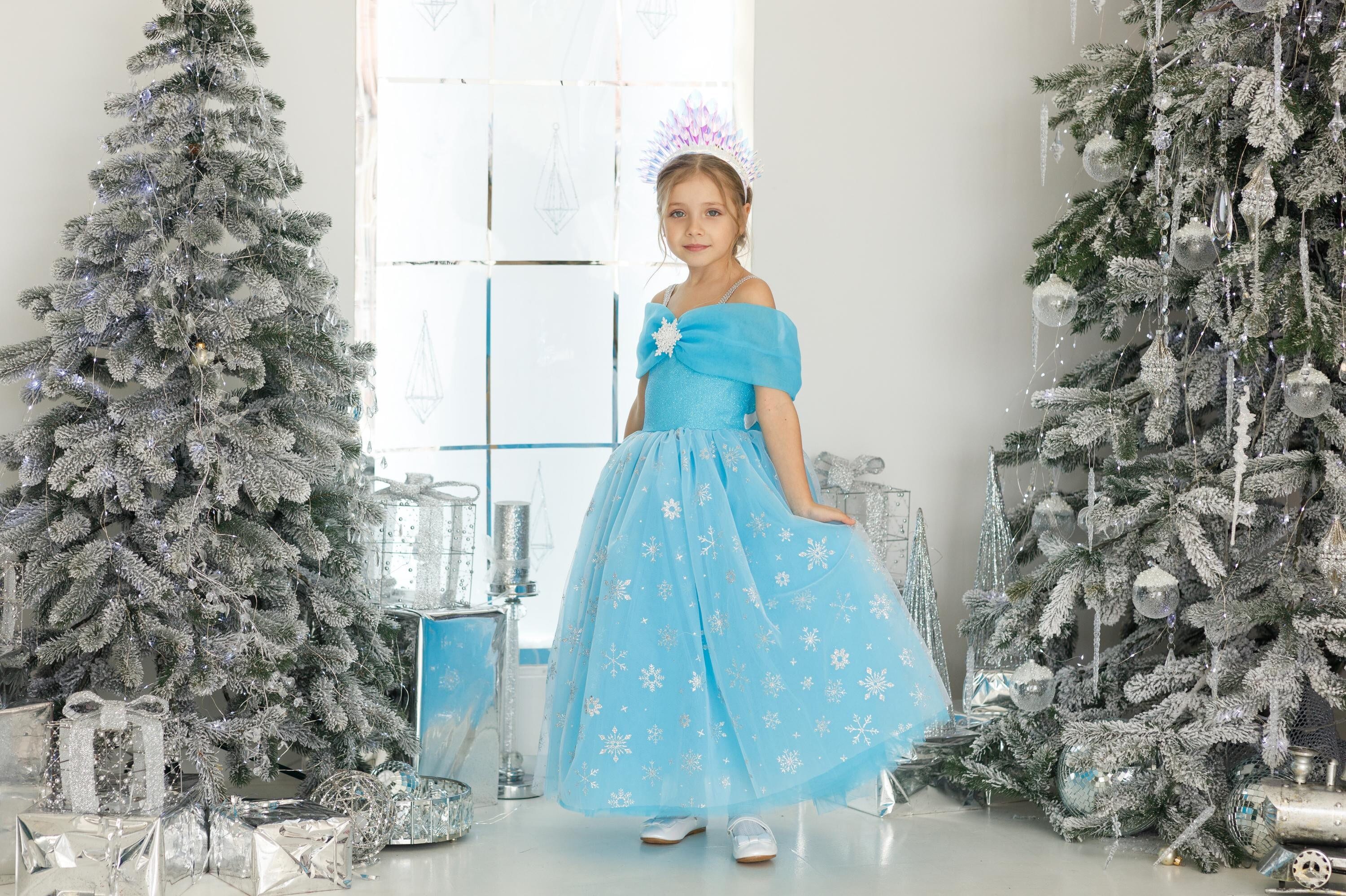 Sparkling Winter Wonderland Costume for Girls, Snowflake Princess Dress and Crown, Blue Gown for Kids, Holiday Costume, Princess Party Dress