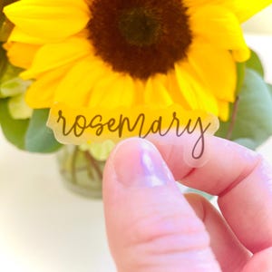 May include: A bright yellow sunflower with a dark brown center and green leaves. A clear sticker with the word "rosemary" in black script is held in front of the flower.