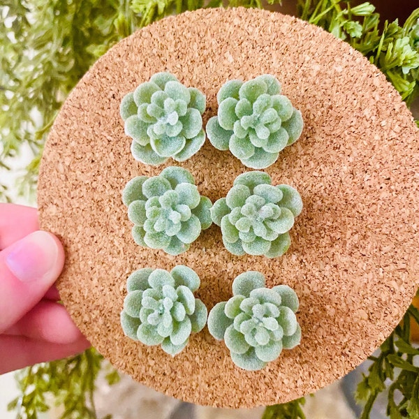 Miniature Succulent Decorative Push Pins Cute Thumb Tack Map Pin for Bulletin Board or Cork Board Cubicle Home Office Work From Home Decor