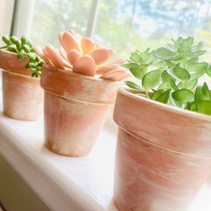 May include: Three small terracotta pots with faux succulents sit on a white windowsill. The pots have a distressed, aged look with white paint accents. The succulents are various shades of green and peach, adding a touch of nature to the indoor setting.