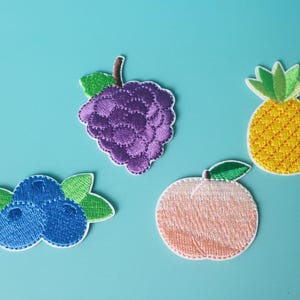 Fruit Iron On Patch Set: Embroidered Blueberry, Grape, Pineapple, Peach