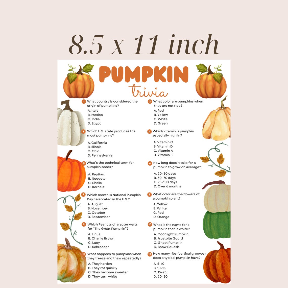 Pumpkin Trivia Game, Printable Halloween Party Trivia, Fall Themed ...