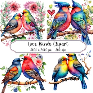 Lovebird clip art, watercolor lovebirds, colorful lovebirds, bird couple, romantic birds, 9 watercolor clip art birds, commercial use