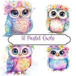 Pastel Owls, 18 Pastel Owls png, Niedliche Eulen, Eulen mit Blumenkronen, kommerzielle Nutzung erlaubt, Für Eulen-Liebhaber, png
