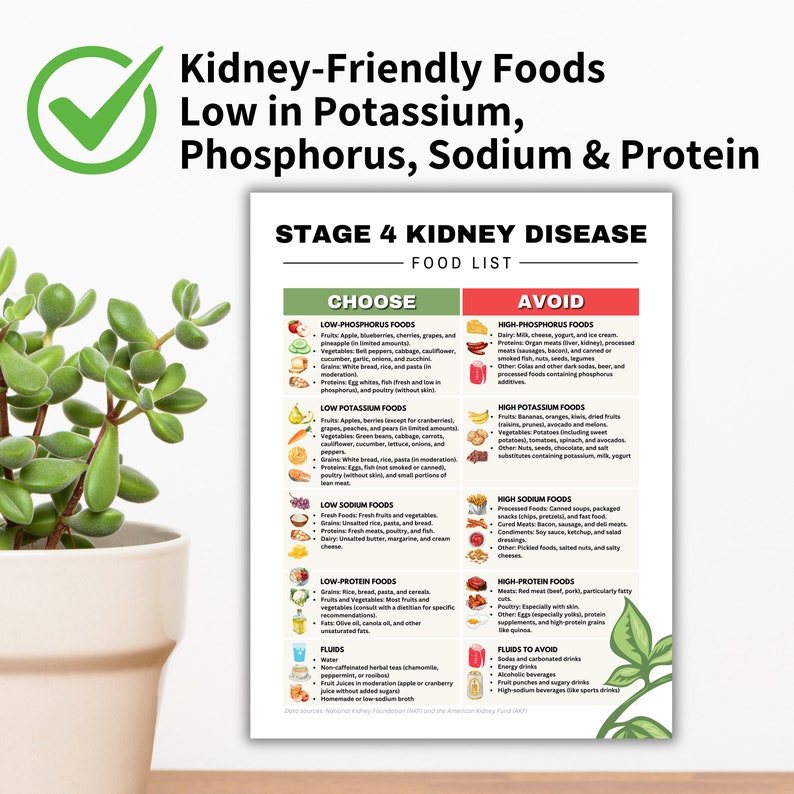 Stage 4 Kidney Disease Food List, Renal Diet, Kidney Friendly Food List