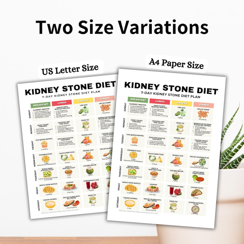 7-Day Kidney Stone Diet Plan, Low Oxalate Foods Printable, Renal Diet Recipes Breakfast, Lunch, Snacks and Dinner, Kidney Disease Diet Plan

kidney diet
kidney foods
stage 4 CKD
chronic illness