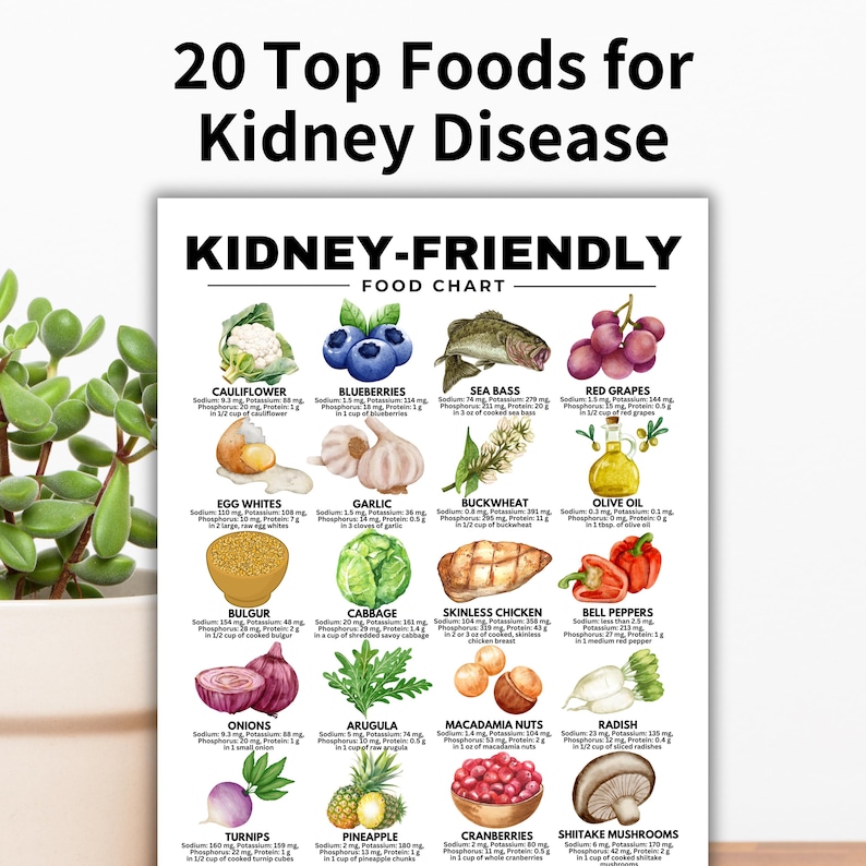 Kidney-Friendly Food Chart, Renal Diet, Kidney Disease Food List, Kidney Disease Diet, Low in Potassium Phosphorus Sodium Protein Printable

kidney disease diet
kidney foods
stage 4 kidney disease food list
stage 3 kidney disease food list