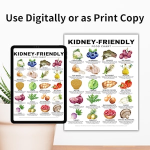 Kidney-Friendly Food Chart, Renal Diet, Kidney Disease Food List, Kidney Disease Diet, Low in Potassium Phosphorus Sodium Protein Printable

kidney disease diet
kidney foods
stage 4 kidney disease food list
stage 3 kidney disease food list