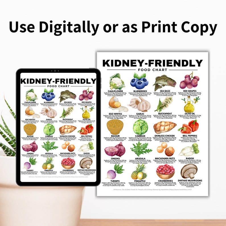 Kidney-Friendly Food Chart, Renal Diet, Kidney Disease Food List, Kidney Disease Diet, Low in Potassium Phosphorus Sodium Protein Printable

kidney disease diet
kidney foods
stage 4 kidney disease food list
stage 3 kidney disease food list