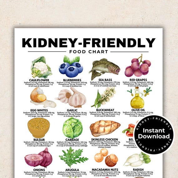 Kidney-Friendly Food Chart, Renal Diet, Kidney Disease Food List, Kidney Disease Diet, Low in Potassium Phosphorus Sodium Protein Printable