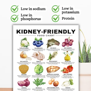 Kidney-Friendly Food Chart, Renal Diet, Kidney Disease Food List, Kidney Disease Diet, Low in Potassium Phosphorus Sodium Protein Printable

kidney disease diet
kidney foods
stage 4 kidney disease food list
stage 3 kidney disease food list