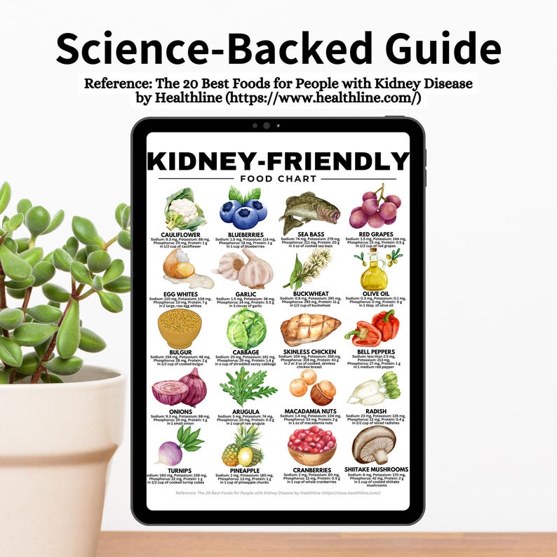 Kidney-Friendly Food Chart, Renal Diet, Kidney Disease Food List, Kidney Disease Diet, Low in Potassium Phosphorus Sodium Protein Printable

kidney disease diet
kidney foods
stage 4 kidney disease food list
stage 3 kidney disease food list