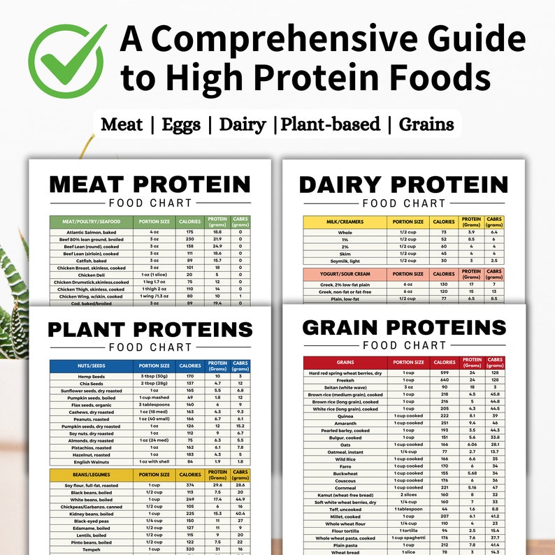 May include: A colorful chart with a checklist icon and the title "A Comprehensive Guide to High Protein Foods". The chart is divided into five sections: Meat, Eggs, Dairy, Plant-based, and Grains. Each section lists different foods with their corresponding portion size, calories, protein, and carbohydrates.