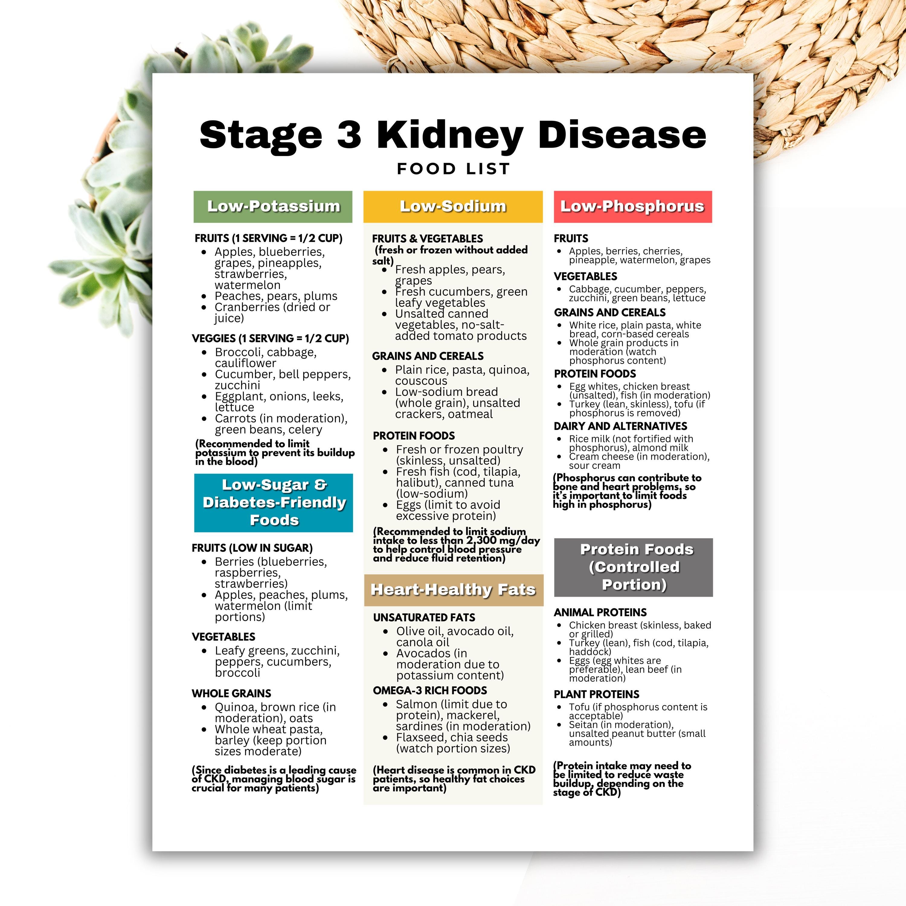 Stage 3 Kidney Disease Food List, Renal Diet, Kidney Friendly Food List ...