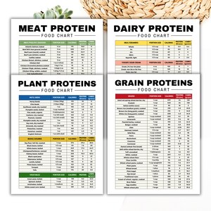 May include: A colorful chart with a list of different types of meat, dairy, plant, and grain proteins. The chart includes the protein and carbohydrate content per serving size for each food item.