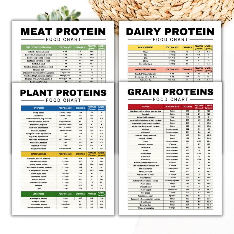 May include: A colorful chart with a list of different types of meat, dairy, plant, and grain proteins. The chart includes the protein and carbohydrate content per serving size for each food item.