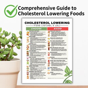 Op de afbeelding: Een groen vinkje-icoon met een witte achtergrond en een groene rand. Een witte tekstbox met een groene rand bevat de tekst "Uitgebreide gids voor cholesterolverlagende voedingsmiddelen". Een witte tekstbox met een groene rand bevat de tekst "Cholesterolverlagende voedsellijst (HDL & LDL)". Een witte tekstbox met een groene rand bevat de tekst "Kies" en een witte tekstbox met een groene rand bevat de tekst "Vermijd". De tekstbox bevat een lijst met voedingsmiddelen die je kunt kiezen en vermijden om je cholesterol te verlagen.