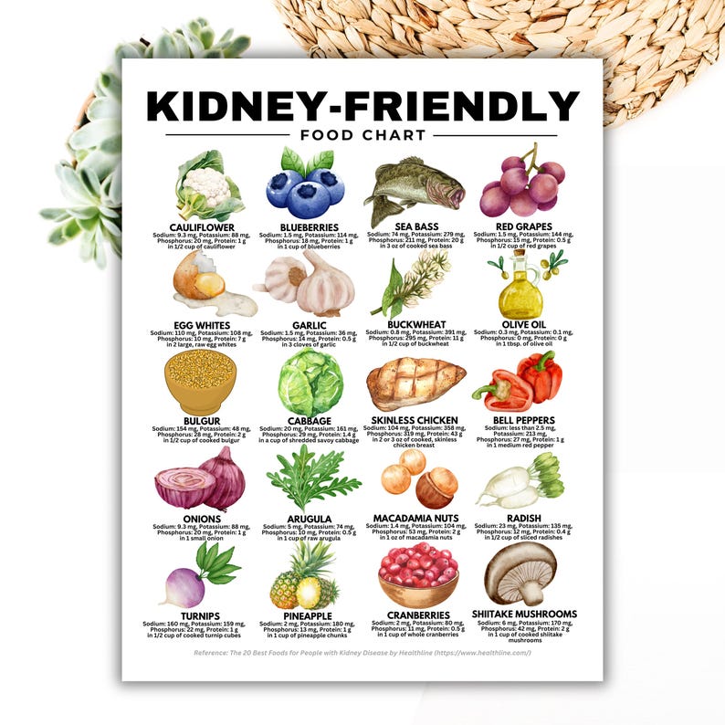 Kidney-Friendly Food Chart, Renal Diet, Kidney Disease Food List, Kidney Disease Diet, Low in Potassium Phosphorus Sodium Protein Printable

kidney disease diet
kidney foods
stage 4 kidney disease food list
stage 3 kidney disease food list
