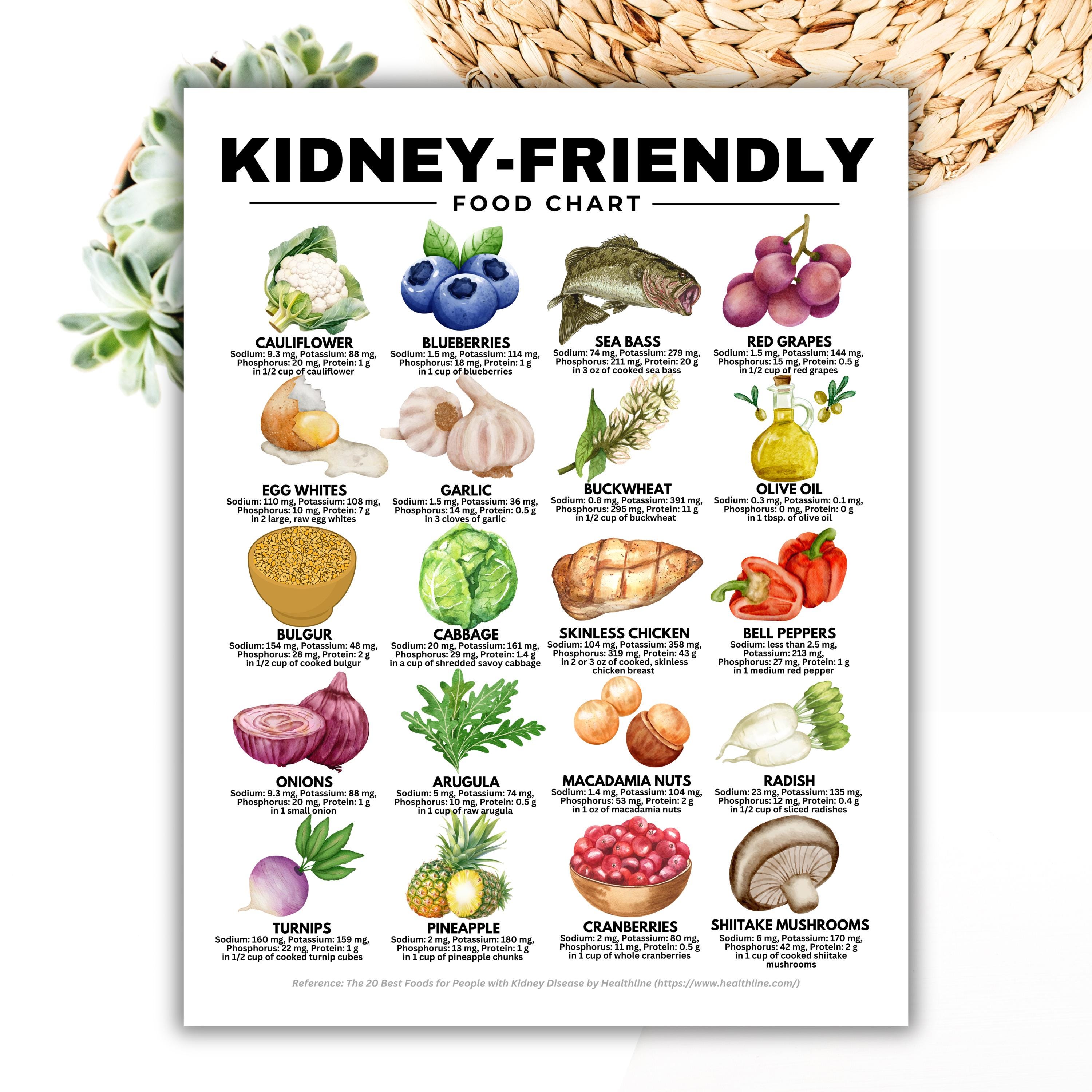 Kidney friendly Food Chart Renal Diet Kidney Disease Food List kidney-friendly-food-chart-renal-diet-kidney-disease-food-list