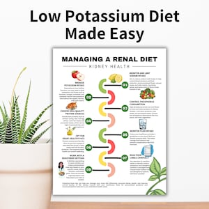 May include: A colorful infographic titled "Low Potassium Diet Made Easy" with the heading "Managing a Renal Diet." The guide provides tips on managing potassium intake, choosing protein sources, and monitoring fluid intake. Includes images of fruits and vegetables.