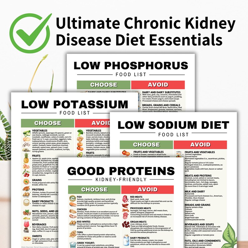 Stage 4 Kidney Disease Food List, Renal Diet, Kidney Friendly Food List ...