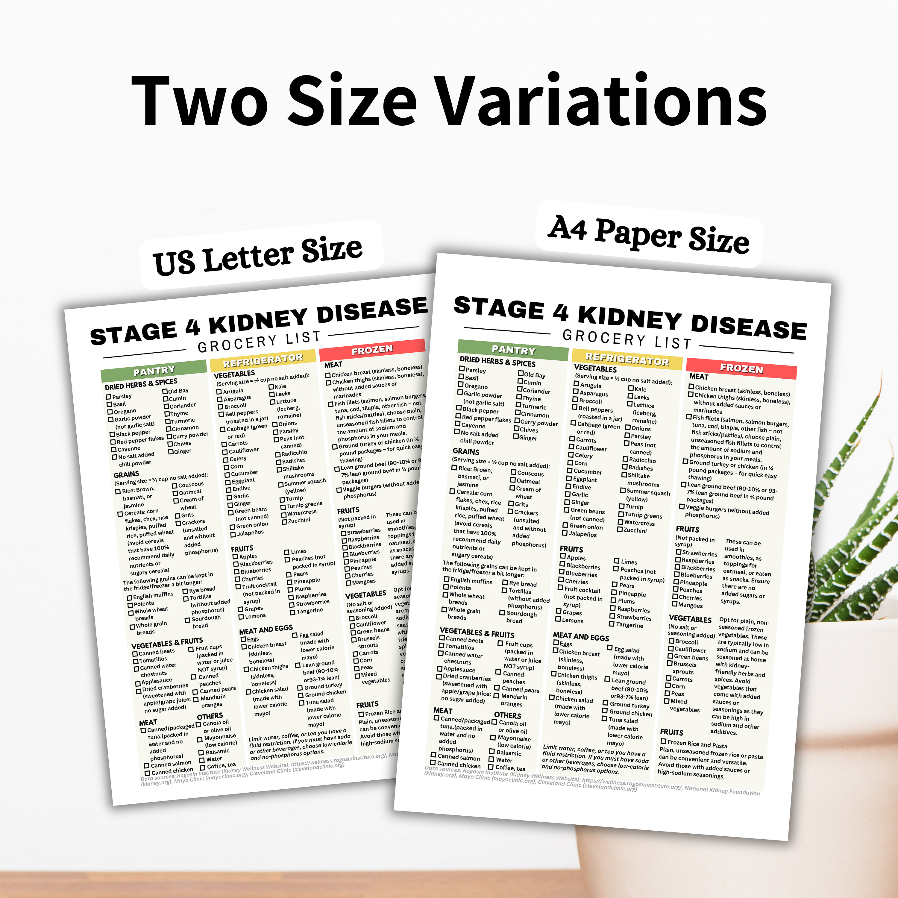 Stage 4 Kidney Disease Grocery List, Renal Diet Kidney Disease Food ...