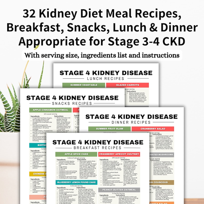 Stage 4 Kidney Disease Food List, Kidney Diet Meal Planner, Renal Diet