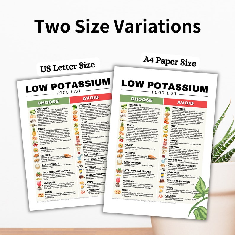 May include: Two printed food lists titled "Low Potassium Food List" are displayed, one in US Letter size and the other in A4 paper size. The lists are divided into "Choose" and "Avoid" sections, with categories like vegetables, fruits, grains, and proteins.