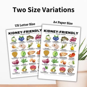 Kidney-Friendly Food Chart, Renal Diet, Kidney Disease Food List, Kidney Disease Diet, Low in Potassium Phosphorus Sodium Protein Printable

kidney disease diet
kidney foods
stage 4 kidney disease food list
stage 3 kidney disease food list