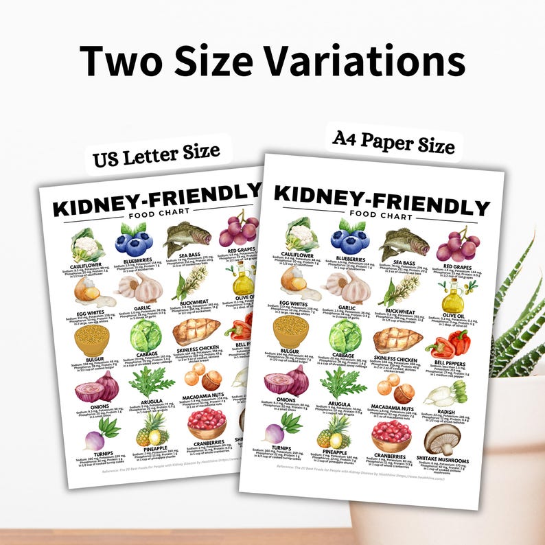 Kidney-Friendly Food Chart, Renal Diet, Kidney Disease Food List, Kidney Disease Diet, Low in Potassium Phosphorus Sodium Protein Printable

kidney disease diet
kidney foods
stage 4 kidney disease food list
stage 3 kidney disease food list