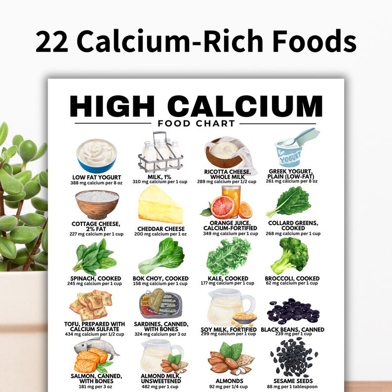 Calcium Food List High Calcium Chart For Osteoporosis Postmenopausal Women Vegans Pregnant Calcium Food List High Calcium Chart For Osteoporosis Postmenopausal Women Vegans Pregnant