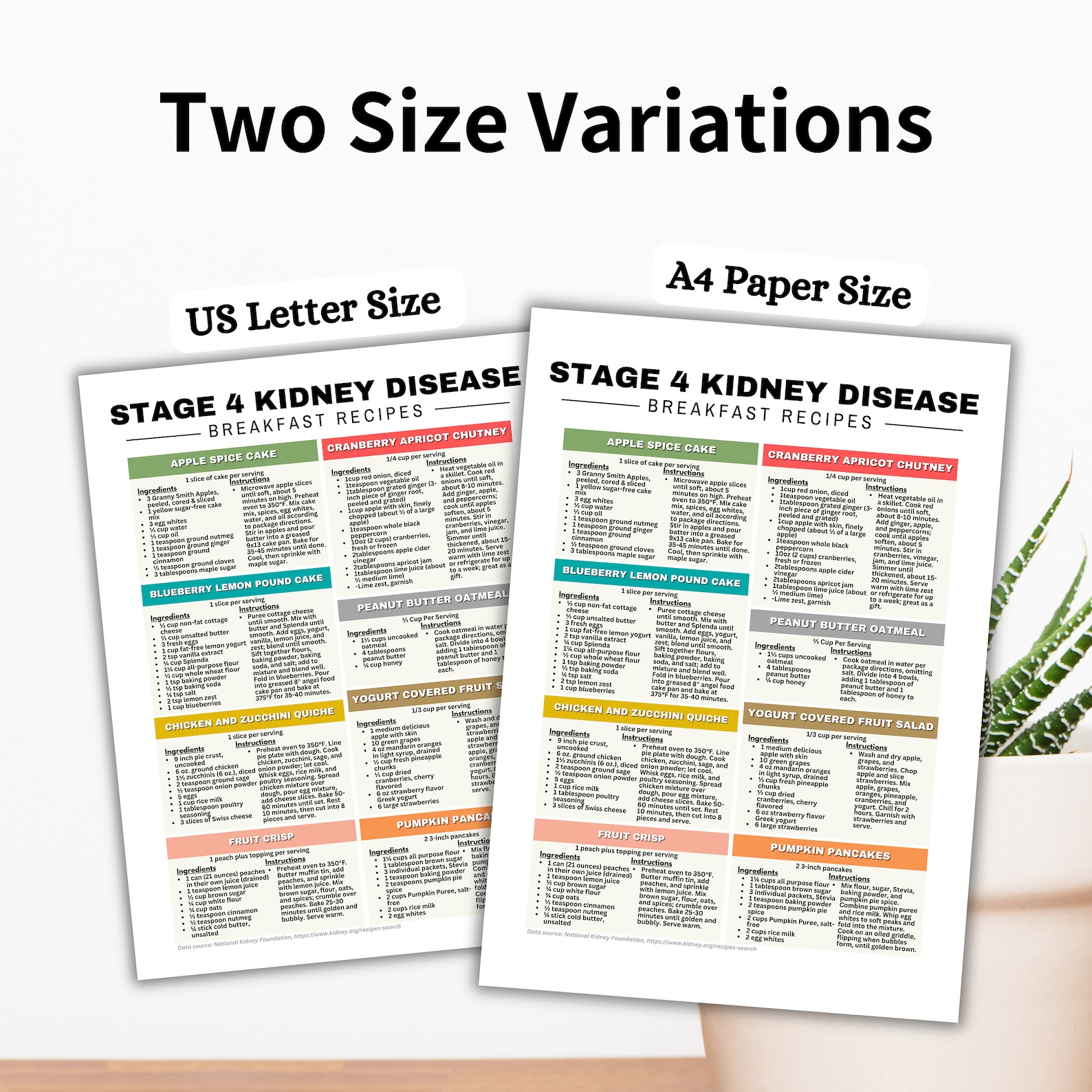 Stage 4 Kidney Disease Food List, Kidney Diet Meal Planner, Renal Diet