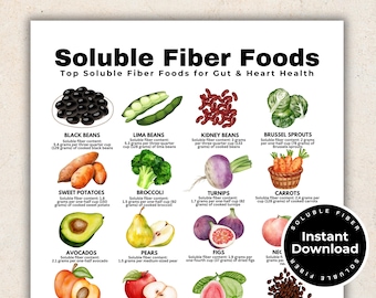 Insoluble Fiber More Fiber For Dogs Soluble Fiber Dog Food That&