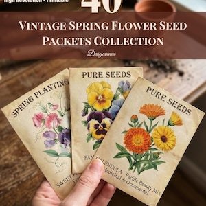 以下が含まれることがあります： 手には、3つのヴィンテージ春の花の種子パックが握られています。 パックには、パンジー、マリーゴールド、スイートピーのカラフルな花のイラストが描かれています。 パックのテキストには、「Pure Seeds」、「Spring Planting」、「Calendula」が含まれています。 画像には「Vintage Spring Flower Seed Packets Collection」というテキストも含まれています。