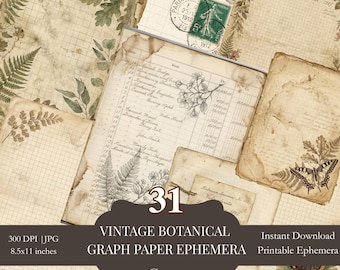 Vintage Botanical Graph Paper Pack, Antique Ephemera Backgrounds, Junk Journal Pages, Printable Neutral Aged Paper, 31 Sheets