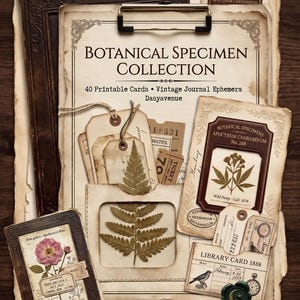 May include: A collection of printable botanical specimen cards and vintage journal ephemera featuring fern illustrations, floral prints, library cards, and tags. The set includes paper items with aged textures, text, and a green wax seal.