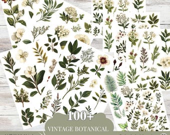 Vintage botanische stickers | Efemere ongewenste tijdschriften | Scrapbooking bloemen PNG | Afdrukbare groenstickers | Kieskeurig knip- en knutselbenodigdheden