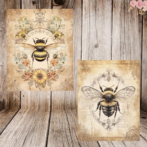 K&ouml;nnte beinhalten: Zwei Drucke im Vintage-Stil mit detaillierten Illustrationen von Hummeln, umgeben von floralen Designs. Die Drucke haben einen verwitterten, gealterten Papierhintergrund.