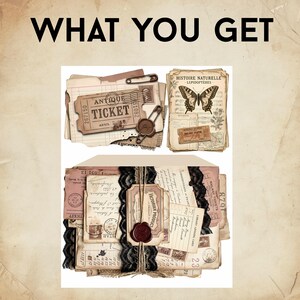 May include: A collection of vintage-style paper ephemera featuring the text WHAT YOU GET, including antique tickets, a butterfly illustration labeled HISTOIRE NATURELLE LEPIDOPTERES, wax seals, safety pins, black lace trim, and various aged documents.