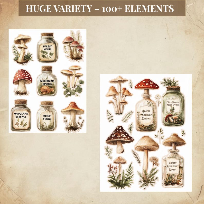 Vintage paddestoelen kieskeurig, vintage botanische paddestoelen ephemera, kieskeurige stekjes afdrukbaar voor bosjunktijdschriften afbeelding 10