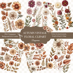 Puede incluir: Un conjunto de imágenes prediseñadas florales con temática otoñal en varios colores, incluyendo naranja, marrón y crema. La imagen incluye flores, hojas y ramitas, con texto que dice "Autumn Vintage Floral Clipart" y "PNG Transparent Background 21.6 x 27.9 cm."