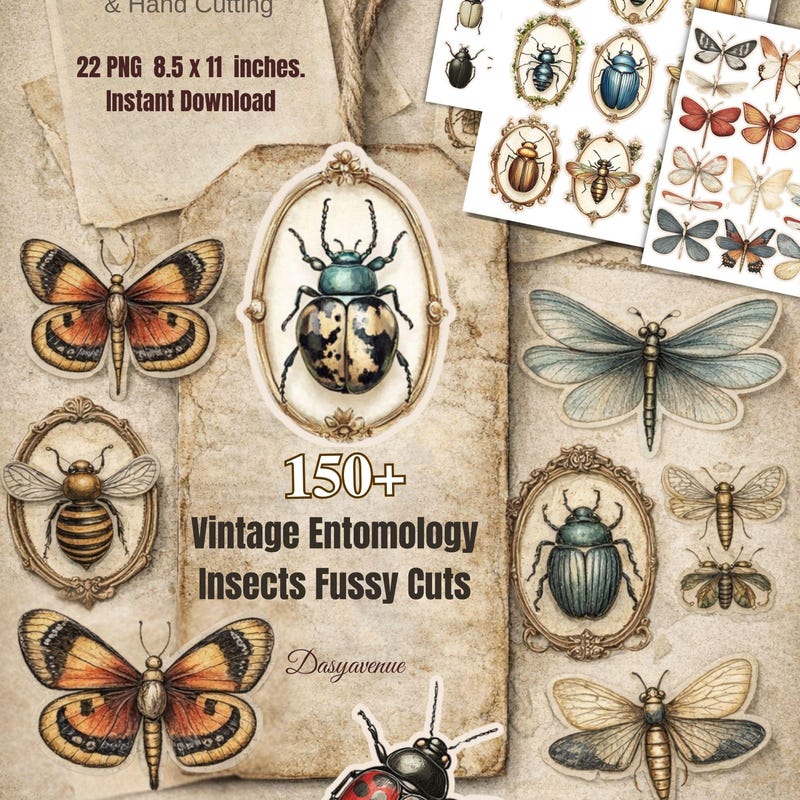 Journal Insect Stickers Insect Stickers - Etsy